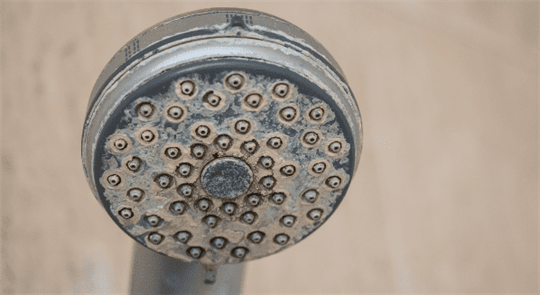 calcified shower head