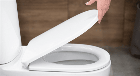 Person Lifting Toilet Seat