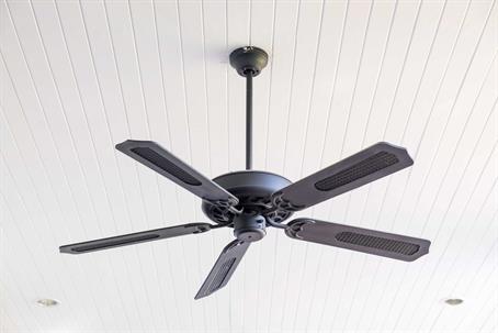 Black Ceiling Fan