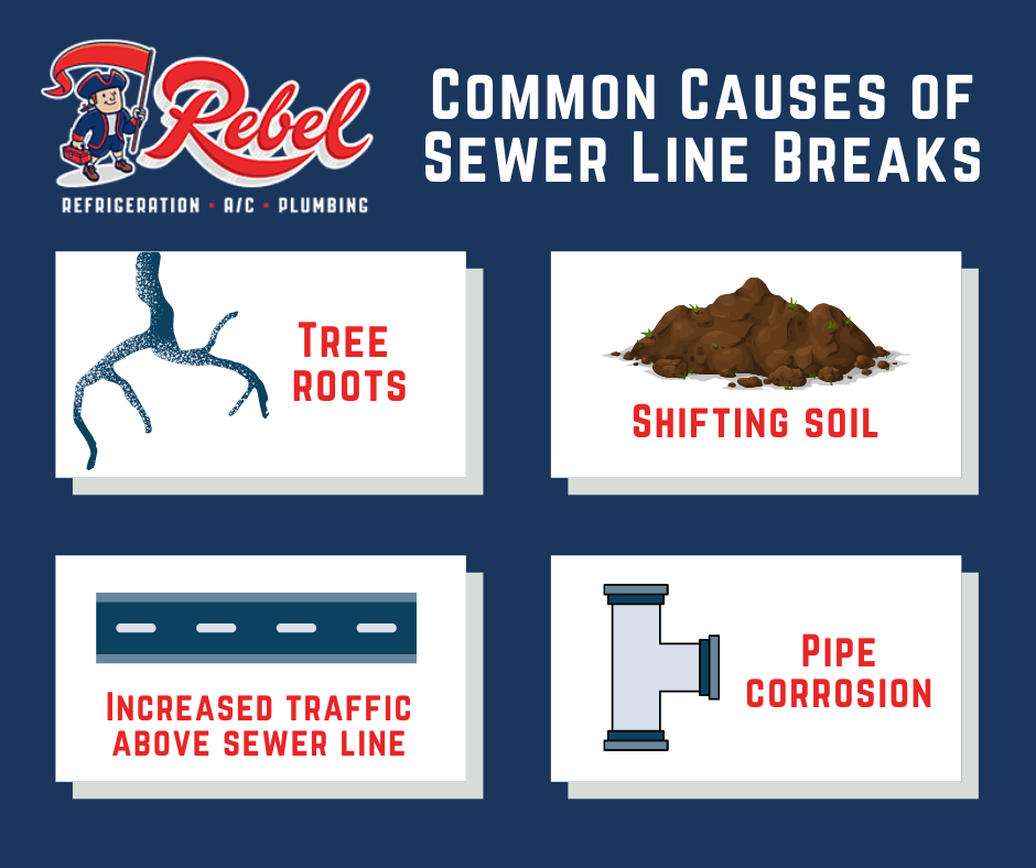 Common Causes of Sewer Line Issues