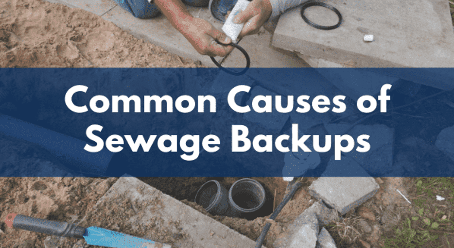 common causes of sewage backups header