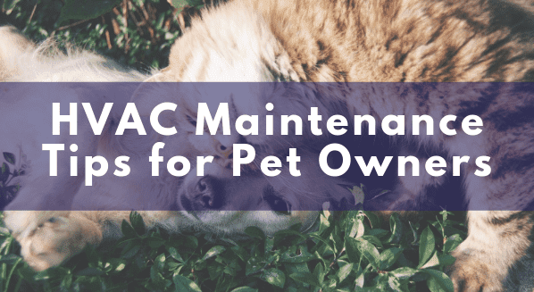 hvac maintenance tips for pet owners