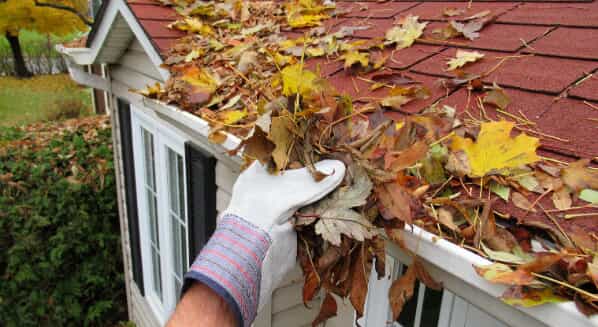 hand pulling leaves out of gutter